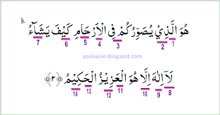 Dan kamu tidak akan ditanya (dipertanggungjawabkan) tentang apa yang. Hukum Tajwid Al Quran Surat Ali Imran Ayat 6 Lengkap Dengan