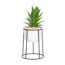 Poca luce piante da interno pendenti : Fioriere Con Piante Grasse Decorate Con Cusci Di Frutti Di Mare Fioriere Con Piante Grasse Decorate Con Cusci Di Frutti Di Questa Mini Fioriera Per Piante Grasse Cactus O