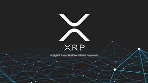 Xrp Nedir Ripple Fiyati Ne Kadar Kac Tl