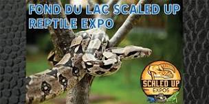 Scaled Up Expo