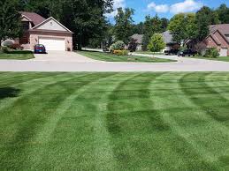 Take your lawn out of the minors and into the big leagues this season! Major League Landscape Lawn Care Clyde Mi 48049 Yp Com