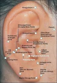Pin On Termgyogy