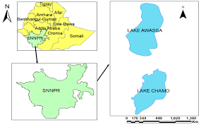 International migrant day 2019 celebrated at soro woreda gimbichu city /hadiya zone, snnpr, ethiopia. Microorganisms Free Full Text Metabarcoding Analyses Of Gut Microbiota Of Nile Tilapia Oreochromis Niloticus From Lake Awassa And Lake Chamo Ethiopia Html