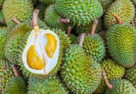 Durian Harvests - Musang King Durian Investments