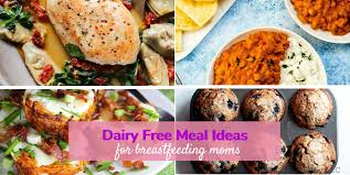 Cheese, butter, buttermilk, milk, yogurt, ghee, milk kefir, and so on. 42 Delicious Dairy Free Breastfeeding Recipes New Moms Love Professional Momma