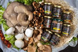 Lasciati sorprendere dai prodotti biologici lavorati dal fresco! Home Ecommerce Lavermicocca Funghi