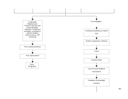 Schematic Pathophysiology Cva