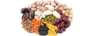 Untuk itulah kenapa kacang merah hanya dibudidaya di dataran tinggi. 6 Manfaat Kacang Kacangan Untuk Ibu Dan Janin Nutriclub