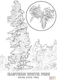 If you are planning a party, then the fourth of july coloring pages are an excellent way to keep kids entertained!. Maine Coloring Pages Coloring Home