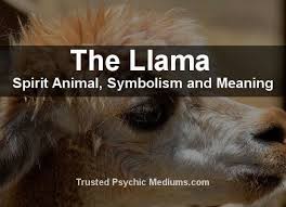 The Llama Spirit Animal A Complete Guide To Meaning And Symbolism Spirit Animal Spirit Animal Quotes Spirit Animal Meaning