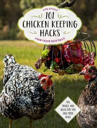 Best for heavily infested areas. Natural Cleaners For Cleaning The Chicken Coop Hello Homestead