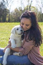 The lab mix can have multiple purebred or mixed breed lineage. White English Labradors Purebred By Professional Breeders