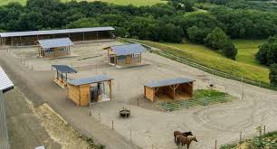 L Ecurie Active En 2020 Plans De Cheval De Grange Abri Chevaux Cheval