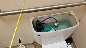 Press down on the toilet handle to lift the rubber flap from the hole, thus allowing the water in the tank to rush into the toilet bowl. Easily Replace A Toilet Bowl Flush Handle Youtube