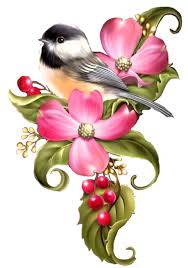 oiseaux,birds,dessin,png,couleur | Folk art flowers, Flower art ...