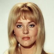 The Love Factor (1969)