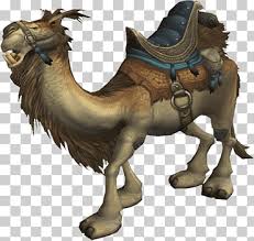 The vpn option is mandatory, you must select the country you'd like us to log in from! Camel Riding Png Images Klipartz