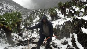 These mountains reach heights of 5,109 meters (16,761 feet) and — along with mount kenya and mount kilimanjaro — are africa's only permanently snow capped mountains on the equator. Hiking Rwenzori Mountains In Uganda Climbing The Higest Peak
