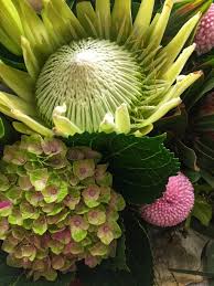 We did not find results for: The Flower Scene 1 21a Babbage Road Roseville Chase Nsw 2069 Australia