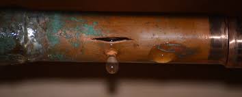They need to have their windows cleaned. Common Issues You Should Leave To A Plumber Happy Hiller
