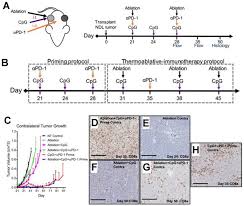 Perspectives On Recent Progress In Focused Ultrasound