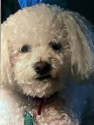 Leon Kremers Obituary (1942