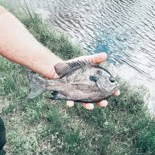 Profile for Jack Slapped