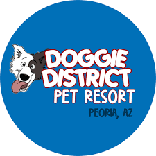 Maybe you would like to learn more about one of these? 4 Paws Pet Resort Home Facebook