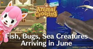 Welcome to ign's acnh sea creatures guide, which features a complete list of all 40 sea creatures that are available to find and collect throughout the game, along with their locations, the time. New Bugs Fish Sea Creatures In June For Animal Crossing New Horizons Northern Southern Hemisphere Animal Crossing World