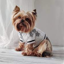 Taylor Swift Inspired Dog Cardigan Folklore Extra Small Knit Etsy In 2021 Taylor Swift Dog Clothes Pet Clothes