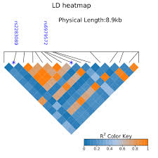 Image result for bioinformatics heatmap