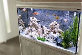 Maybe you would like to learn more about one of these? 6 Steps To Safely Moving A Fish Tank Moving Com