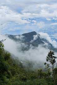 187 Galipan Fotos de stock - Fotos libres de regalías de Dreamstime