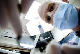 Ils sont effrayés car le bruit intense provoqué par les feux d'artifices les alarme ; Science Decalee La Peur Du Dentiste Passe Par Le Bruit De Ses Outils