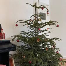 Der baum muss ohne schmuck gut sichtbar an die straße gelegt werden. Weihnachtsbaume Werden Abgeholt Radio Lippewelle Hamm