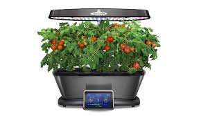 When growing cherry tomatoes indoors, keep the soil moist and in a warmer location to germinate. Grow Plants Indoors With Aerogarden A Smart Growing System