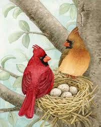 Brown Birds That Look Like Cardinals Bird Tree With Cardinals 8x10 Archival Watercolor Print By Etsy Bird Pictures Bird Nest Painting Birds Painting