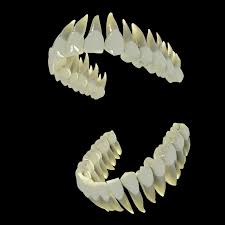 3d Human Teeth 3d Model Human Teeth 3d Human Human