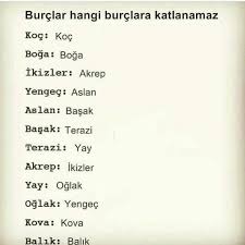 Akrep In Ikizlerden Nefreti Gunluk Burc Yorumlari Burclar Ikizler Ikizler Burcu