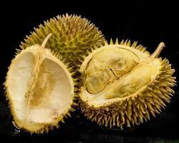 Regarded By Many People In Southeast Asia As The King Of Fruits The Durian Is Distinctive For Its Large Size Stron Fruits Exotiques Fruits Cuisine Exotique