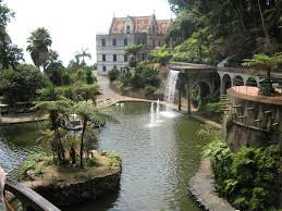 Staff Picks Pixdaus Visit Portugal Island Destinations Madeira Island
