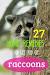 Raccoon Repellent