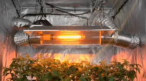 Hid grow lights such as are 1000 watt systems can be run with your choice of mh bulbs or hps bulbs.when all other grow lights have left you wanting more, you can rely on the sheer power and convention of a powerful 1000 watt high intensity discharge grow light to get your plants the light they crave. Vscr6000 Virtual Sun Open Cool Tube Grow Light Hood Youtube