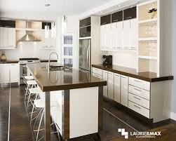 Lauriermax Offers High End Custom Cabinets For Kitchens Vanities Bathrooms Or Any Special Furniture Kitchen Cabinets Custom Cabinets Kitchen