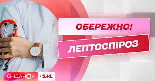 Відео — Чим небезпечний лептоспіроз і як від нього вберегтись — Сторінка  відео