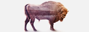 In this easy double exposure effect photoshop tutorial, learn how to make double exposure effect in photoshop. How To Create A Double Exposure Effect In Adobe Photoshop