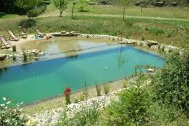 Natural Swimming Pool Using Shipping Container Google Search Natural Swimming Ponds Natural Swimming Pools Swimming Pond
