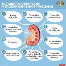 Selain daripada itu, amalan gaya hidup moden merupakan salah satu faktor yang menunjangi masalah ini. Bernama Radio On Twitter Infosihat Kira Kira 15 Rakyat Negara Ini Menghidap Penyakit Buah Pinggang Kronik Pelbagai Peringkat Amalan Gaya Hidup Tidak Sihat Antara Punca Kerosakkan Buah Pinggang Sumber Kkmputrajaya Https T Co 2qaitkeu2y