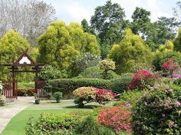 Wisata bahari berbagai macam tempat diving dan snorkeling yang menyajikan keindahan alam dan kekayaan biota lautnya ada di maumere dan sekitarnya. Ornamental Gardens Taman Pertanian Sabah Sabah Agricultural Park Near Tenom Photo