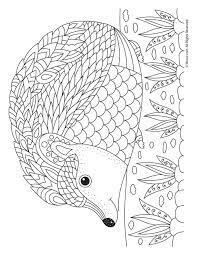 Pin On Adult Coloring